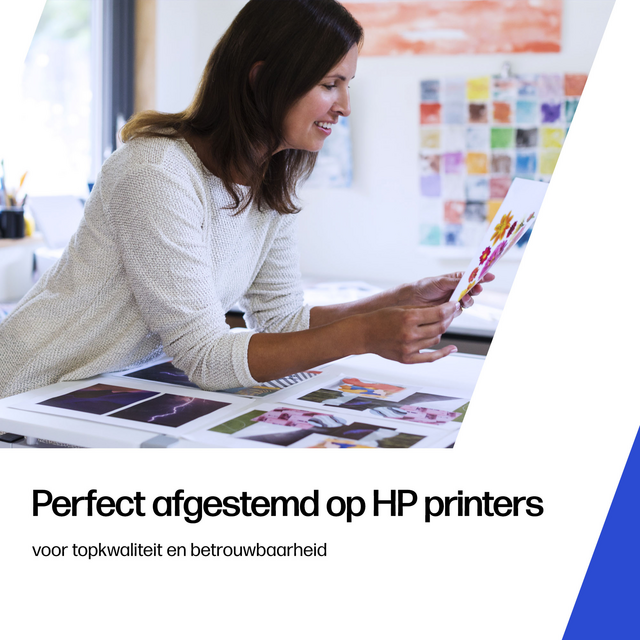 HP C2P10A 651 Black Ink Cartridge