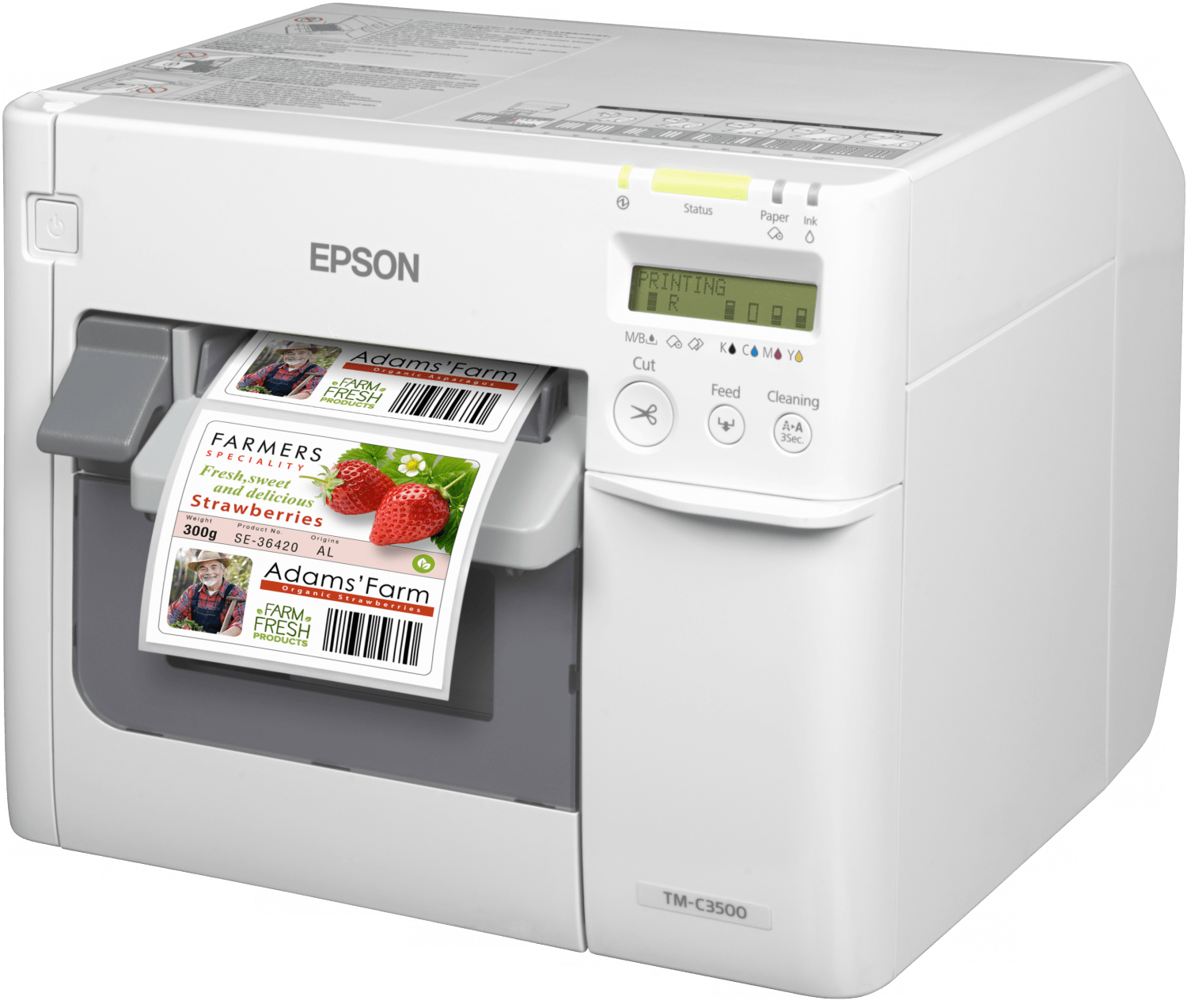 Epson C3500 Epson C3500